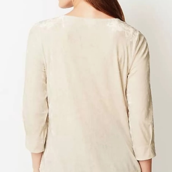 NWT J. Jill Crushed Velvet A-Line Top (4X) - Picture 5 of 16